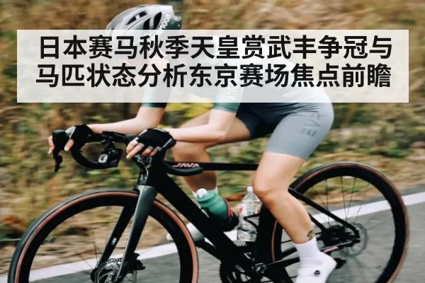 日本赛马秋季天皇赏武丰争冠与马匹状态分析东京赛场焦点前瞻